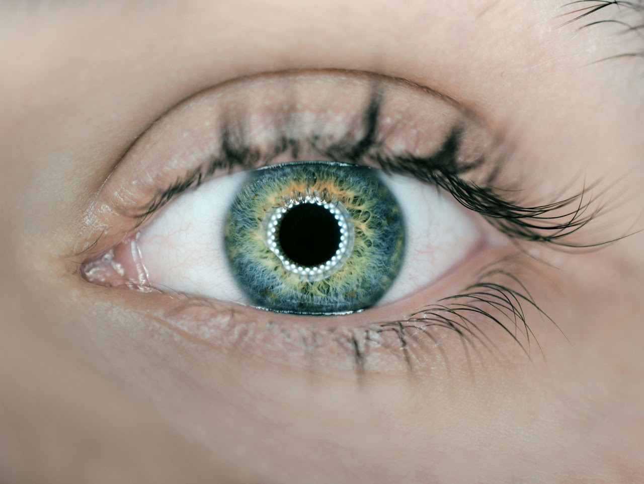 Eye closeup